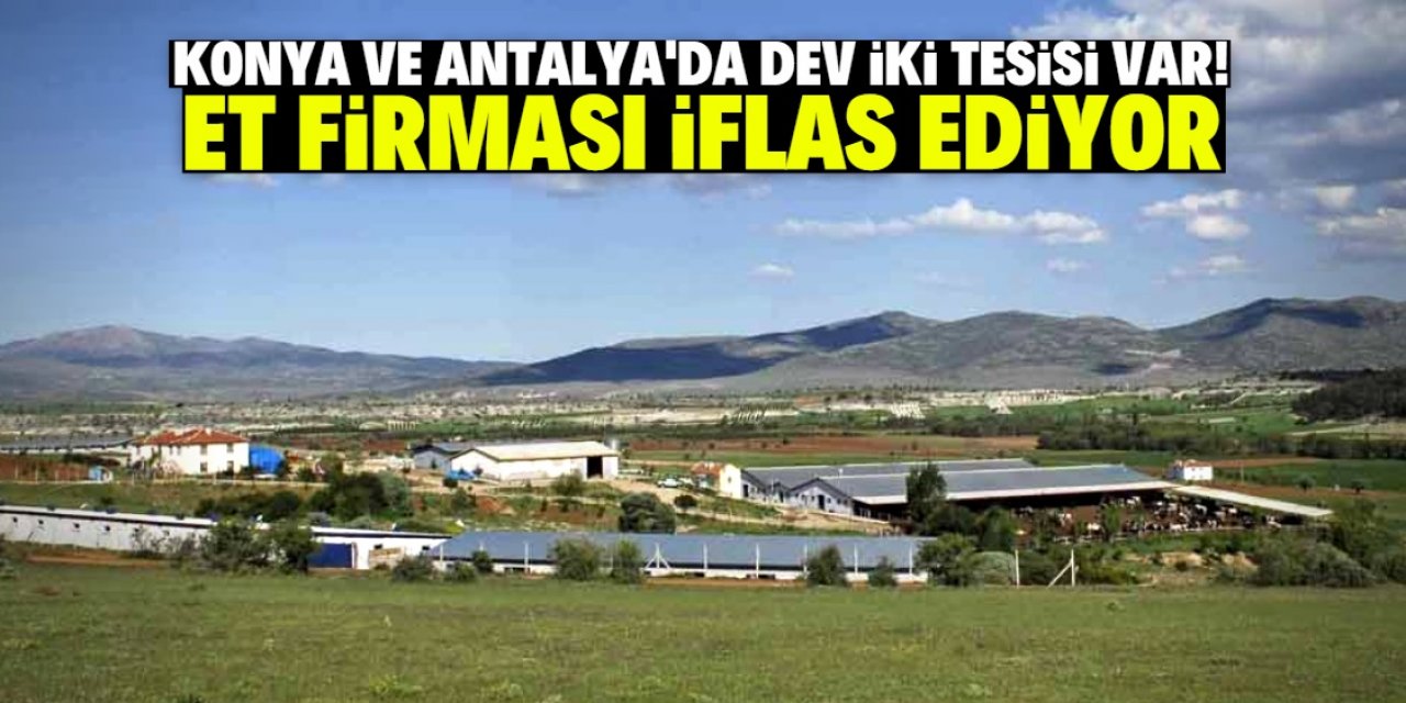 Konya ve Antalya'ya 900 milyon lira yatırım yapan firma iflas ediyor!