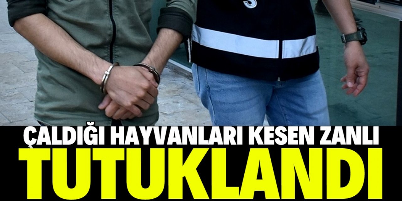 Konya'da çaldığı büyükbaş hayvanları kesen zanlı tutuklandı