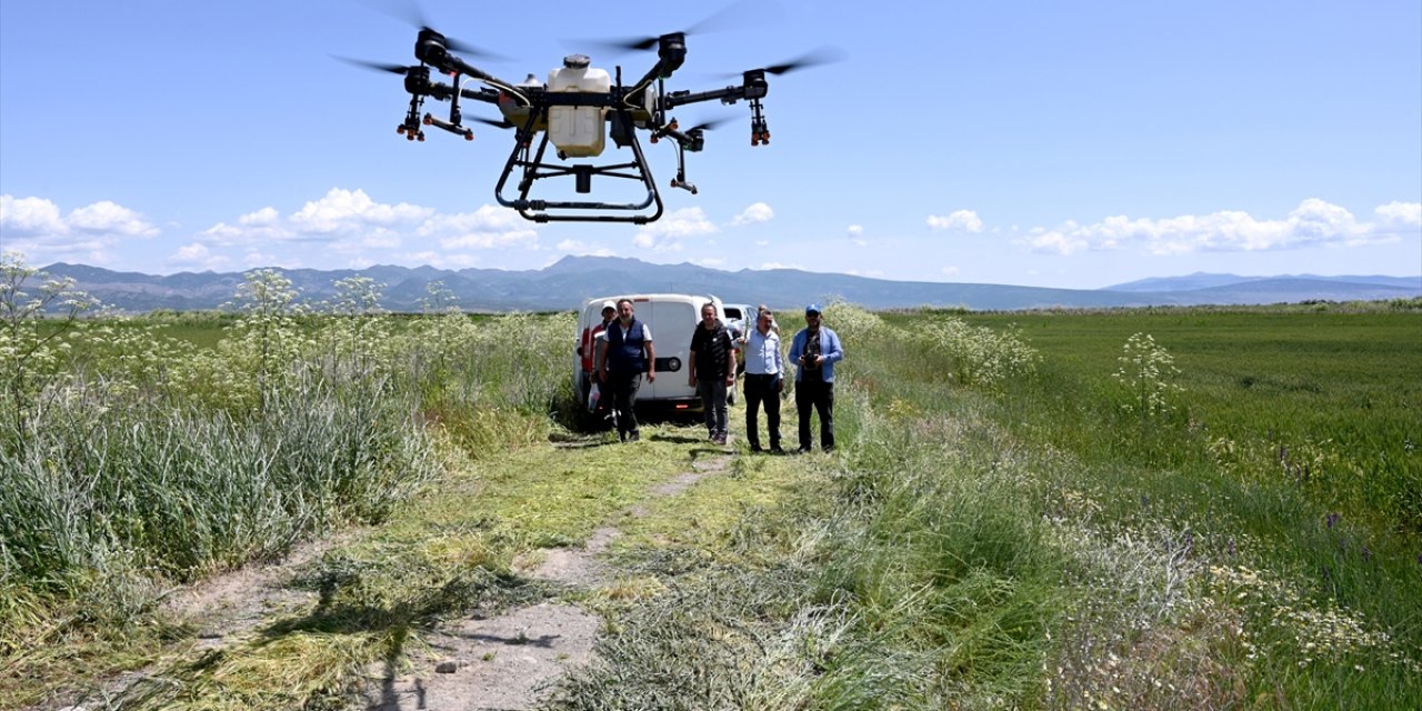 Tarım arazilerini drone kullanarak ilaçlayan belediye