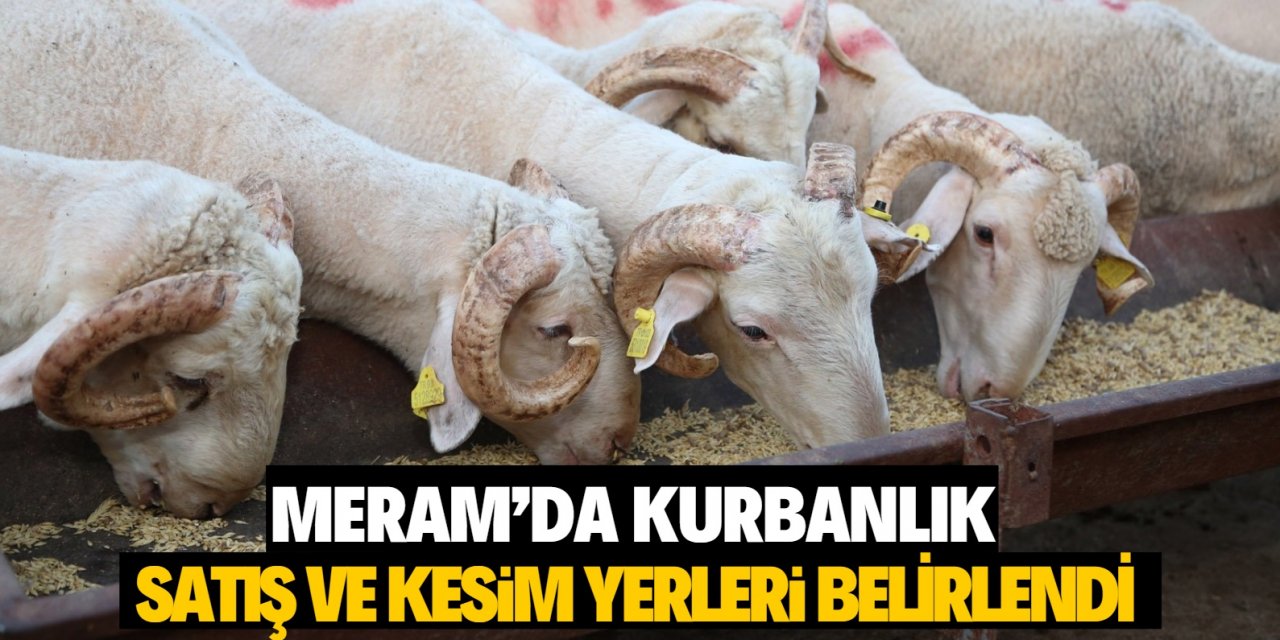 Meram’da kurbanlık satışları  İçin tahsis işlemleri başlıyor