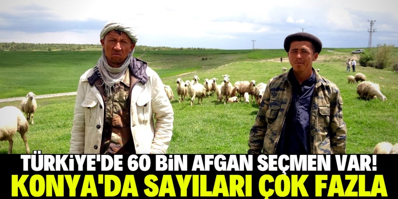 Türkiye'de 60 bin Afgan seçmen var! Konya'da sayıları çok fazla