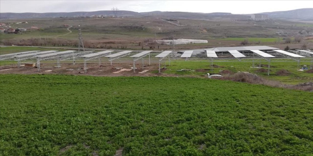 Türkiye'nin ilk açık alanda Tarım GES uygulaması elektrik üretmeye başlıyor
