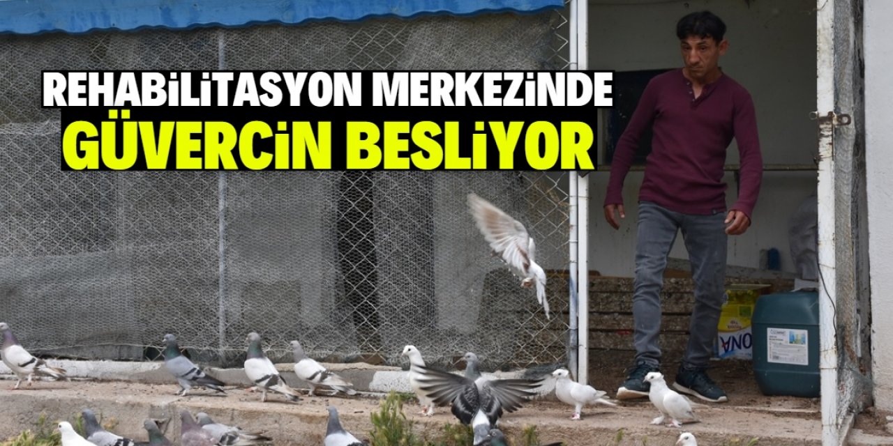 Kaldığı rehabilitasyon merkezinde 13 yıldır güvercin besliyor