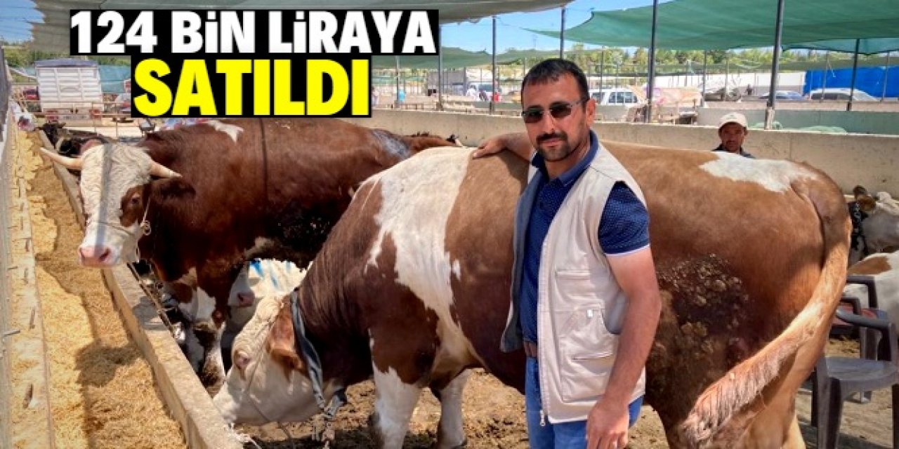 Konya'da 1 tona yakın ağırlığı olan kurbanlık 124 bin liraya satıldı