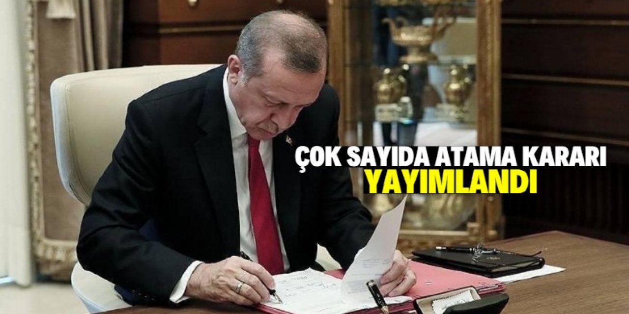 Erdoğan çok sayıda atamaya imza attı