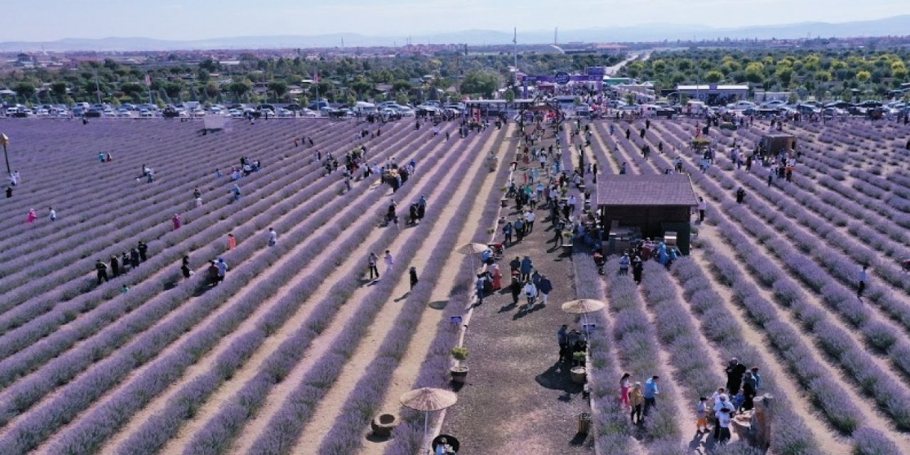 Konya'nın meşhur lavanta bahçesi 1 Temmuz’da açılıyor