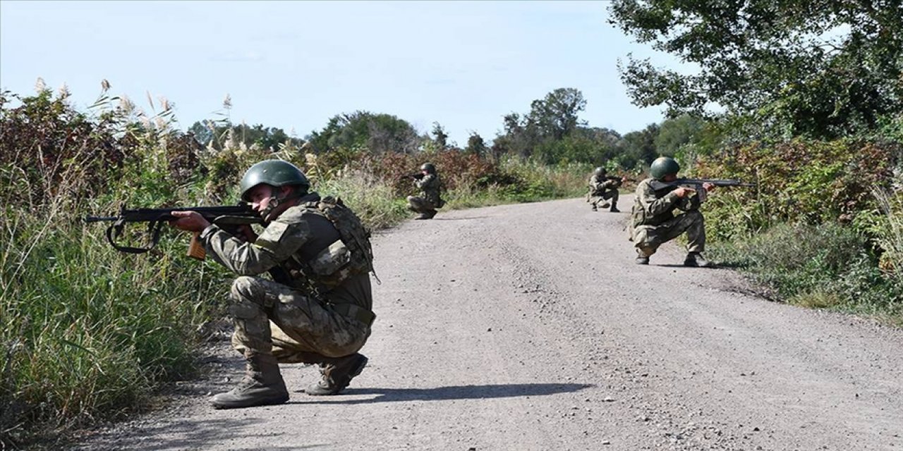 Yasa dışı yollarla yurda girmeye çalışan 1 PKK'lı terörist yakalandı