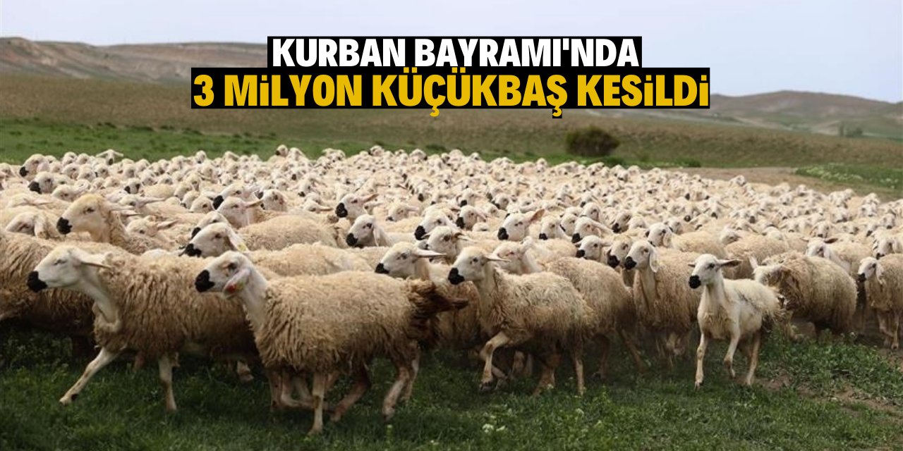 Bayramda 3 milyonun üzerinde küçükbaş kurbanlık satıldı