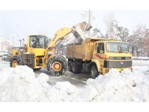 Muş Belediyesi Kar Taşıma Çalışmalarına Başladı