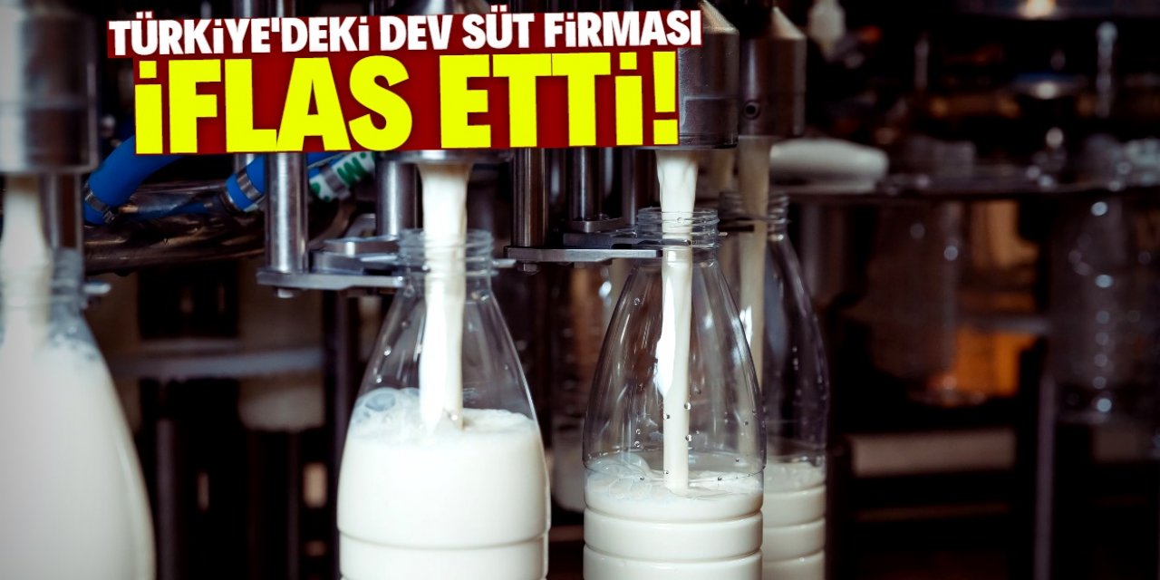 Süt üretiminde ismiyle bilinen Türk firması iflas etti