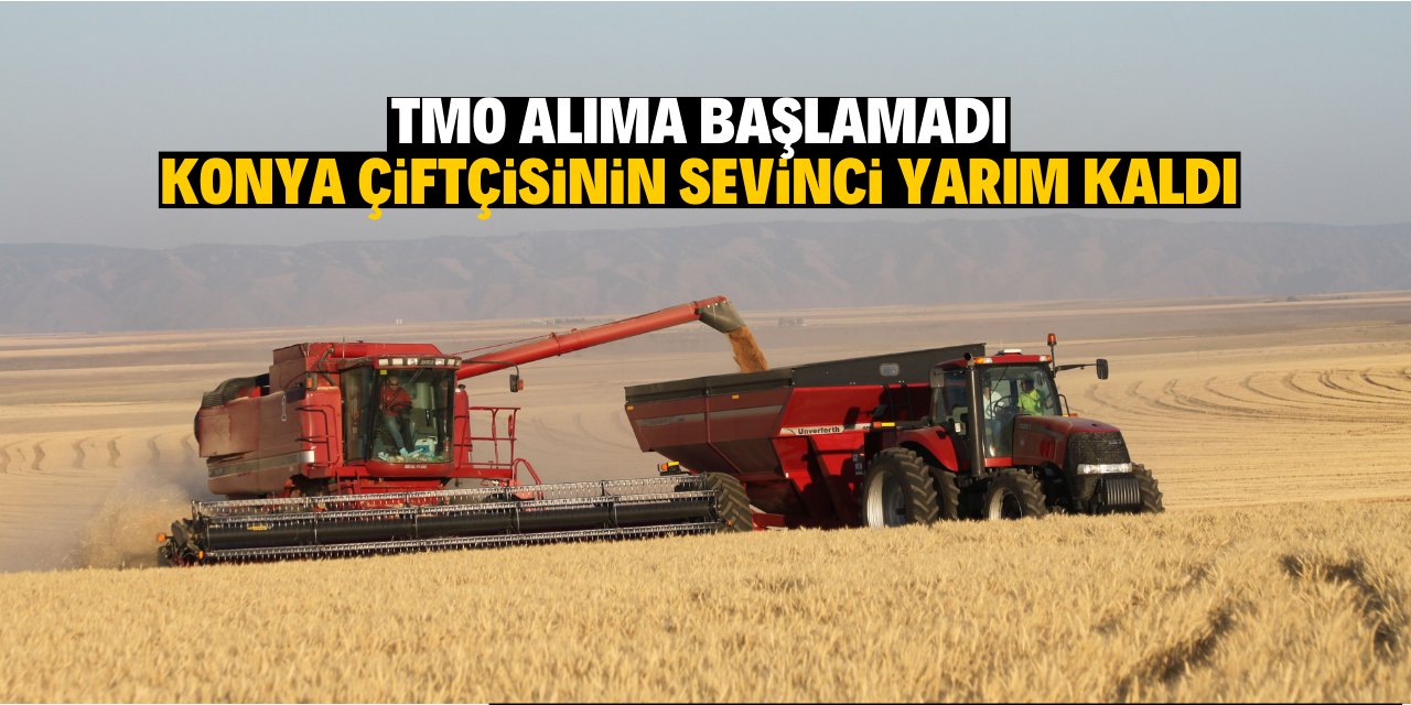 Hasat sevinci   yarım kaldı