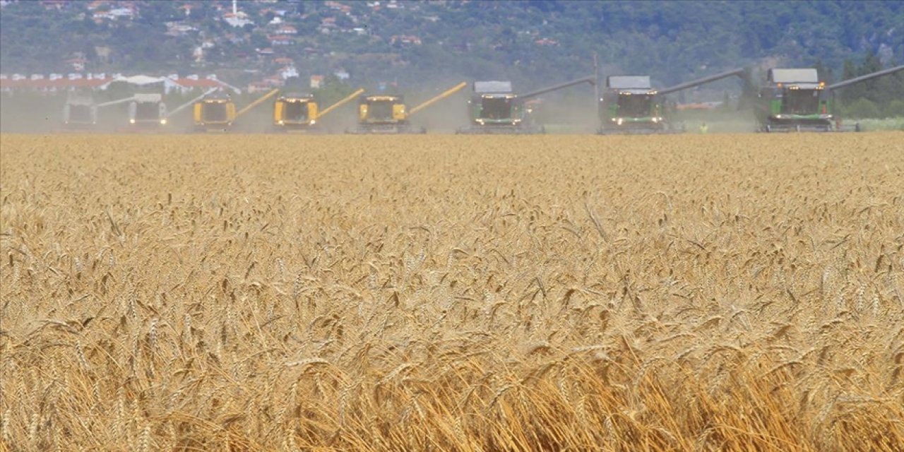 Tarım sigortalarında n fazla ödeme "dolu" hasarlarına yapıldı