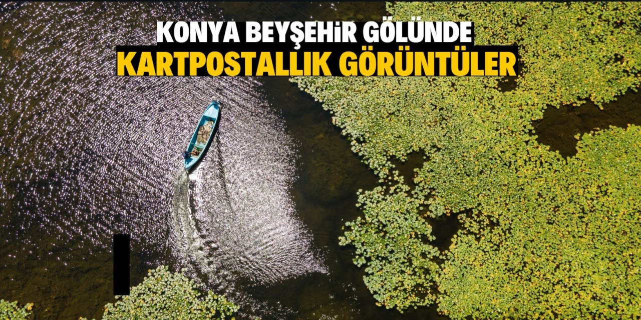 Beyşehir Gölü'nde balıkçı tekneleriyle gezilen nilüferler yoğun ilgi görüyor