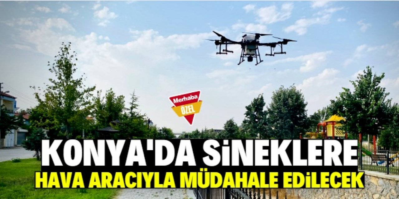 Konya'da herkes sineklerden şikayetçiydi! Hava aracıyla müdahale edilecek