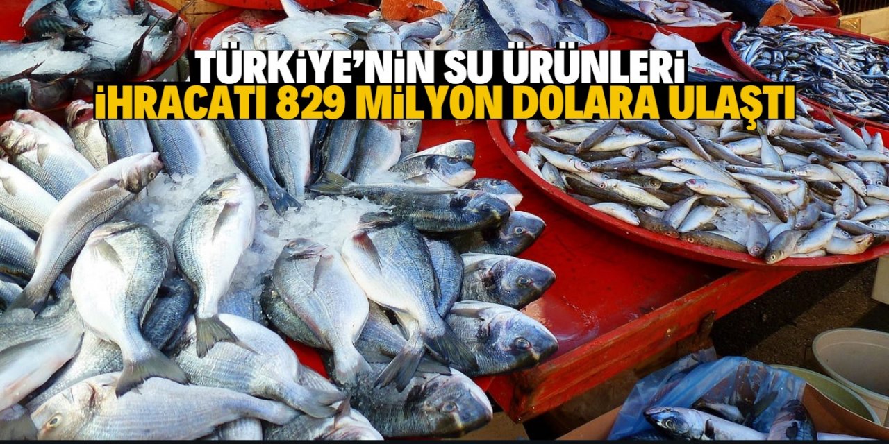 Türkiye'nin  su ürünleri ihracatı 829 milyon dolara ulaştı