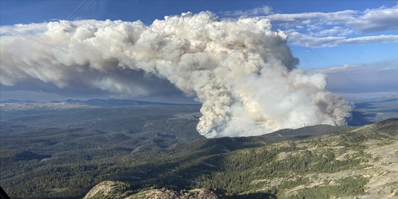 Kanada'nın en büyük yangınında şimdiye kadar yaklaşık 13,4 milyon hektar alan yandı