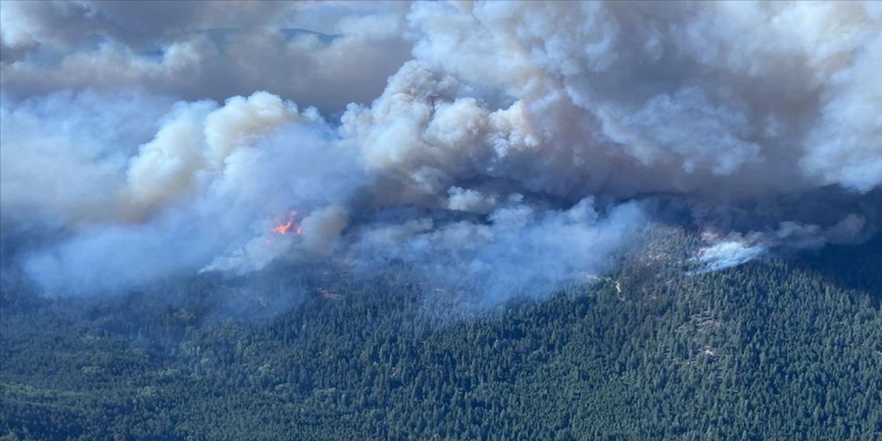 Kanada'nın Kuzeybatı Toprakları ve British Columbia eyaletleri orman yangınlarıyla mücadele ediyor