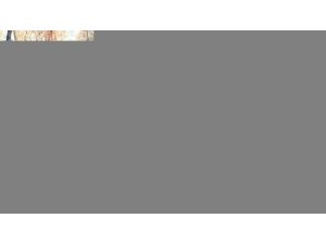 Bursa Hayvanat Bahçesi Genişletiliyor, Fil, Fok Ve Penguen De Geliyor