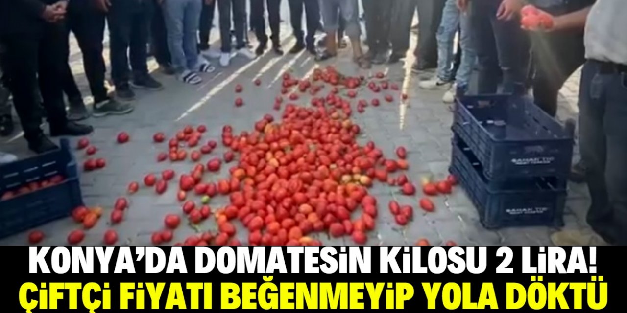 Konya'da domatesin kilosu 2 liraya düştü! Çiftçi yola dökme kararı aldı