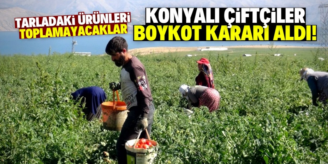 Konyalı çiftçilerden ekonomik kriz eylemi! Boykot başladı