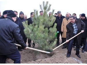 Memur Sen 1 Milyon Ağaç Dikecek