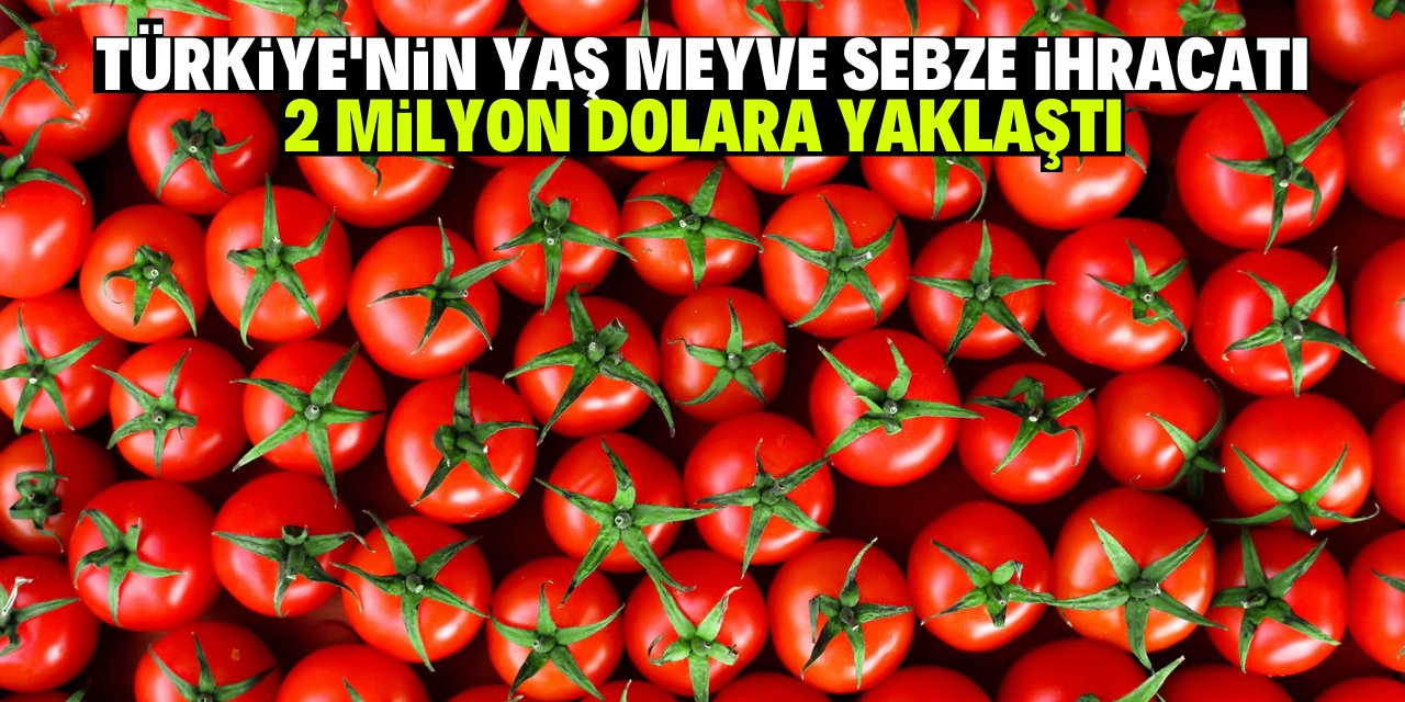 Türkiye'nin yaş meyve sebze ihracatı 2 milyar dolara yaklaştı