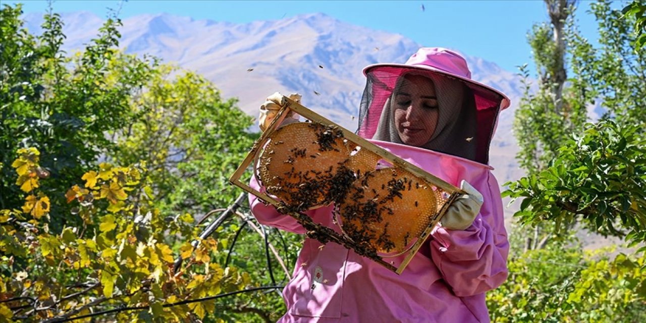 Pembe kıyafetli kadınlar 2 bin 800 rakımlı yaylada bal hasadına başladı