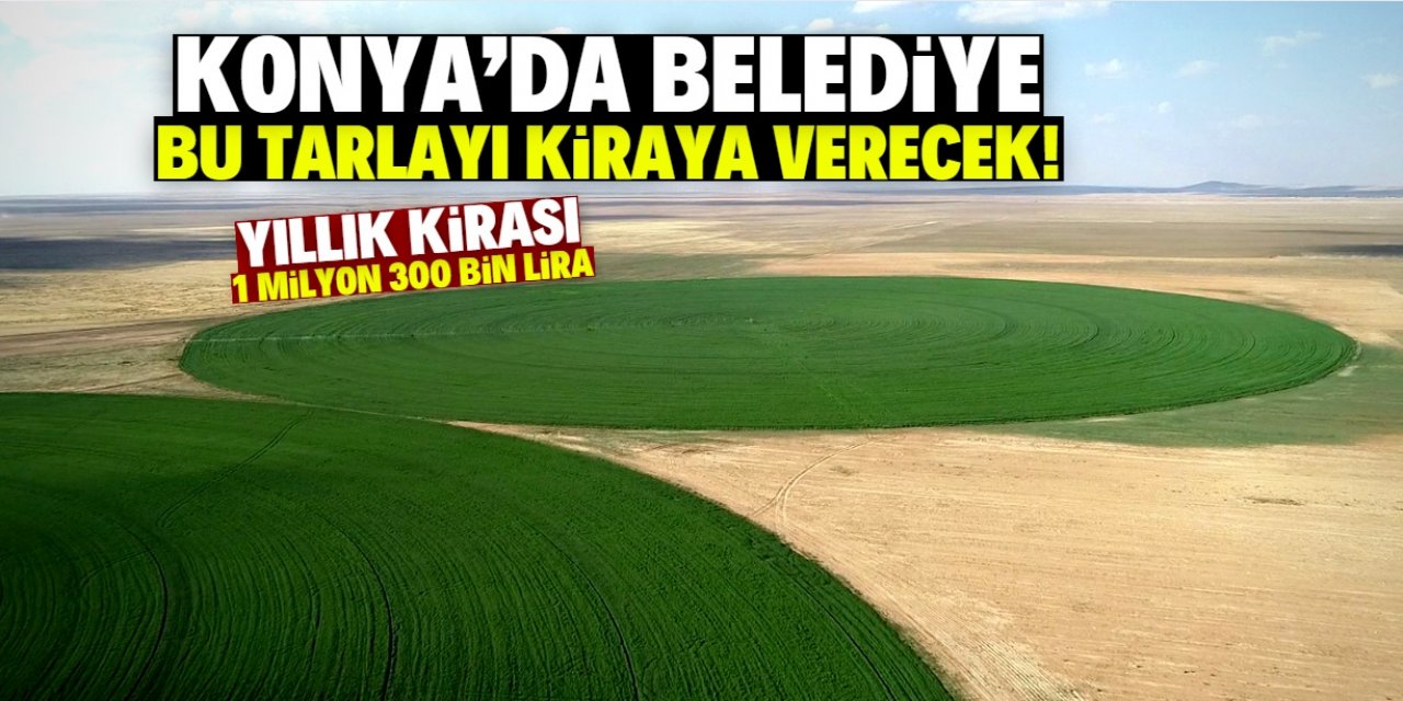 Konya'da belediye 1 milyon 300 bin liraya bu tarlayı kiraya verecek!