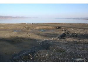 Sapanca’yı Besleyen Dere Kurudu, 4 Balık Türünün Nesli Tükendi