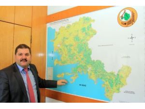 Muğla Ve Aydın'daki Orman Yangınlarında 968 Hektar Alan Zarar Gördü