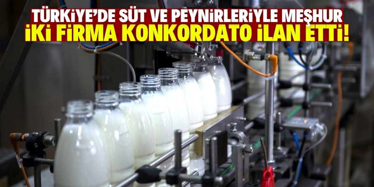 Türkiye'de süt ve peynirleriyle meşhur iki firma konkordato ilan etti!
