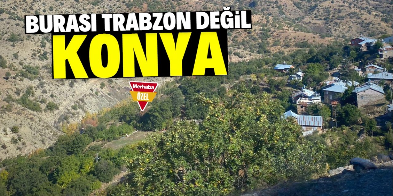 Burası Trabzon değil Konya!