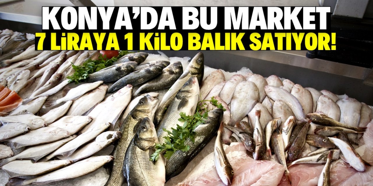 Konya'da bu market 7 liraya 1 kilo balık satıyor!
