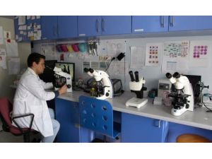 Aerobiyoloji Laboratuvarı’na Avrupa’dan Yeterlilik Belgesi