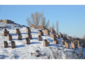 Gesi Bağlarındaki Kuş Evleri Yenilenecek