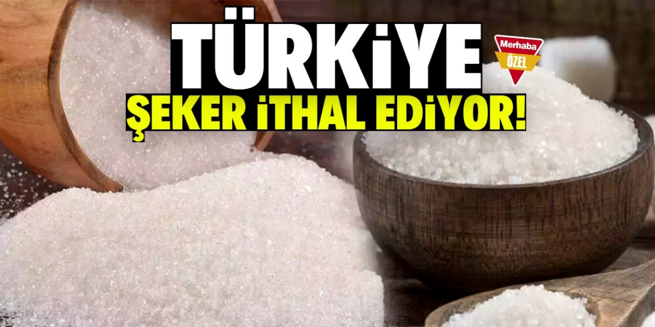 Konya üretmek için uğraşıyor, Türkiye şeker ithal ediyor!