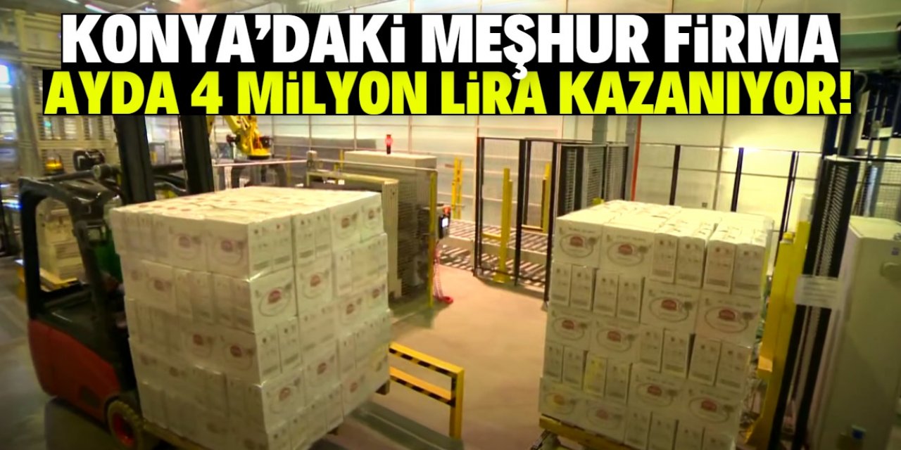 Konya'daki meşhur gıda firması ayda 4 milyon lira kazanıyor!