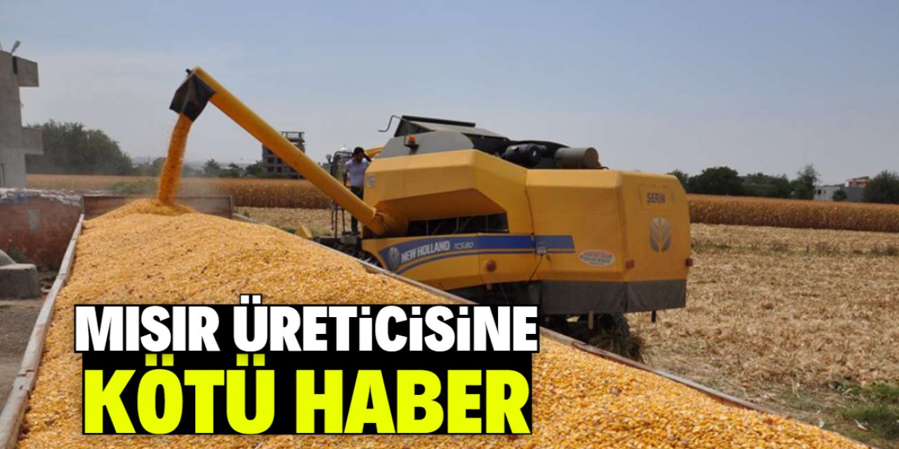 Konya'da mısır üreticisine kötü haber