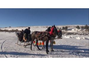 Buz Tutan Gölde Atlı Kızak Keyfi