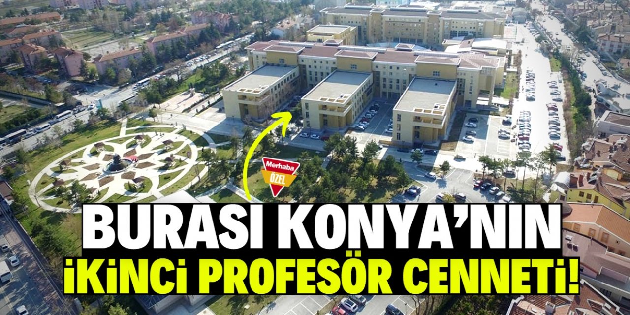 Konya'nın ikinci profesör cenneti: İlahiyatta 38, hukukta 1 profesör