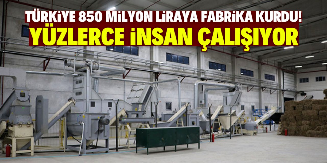 Türkiye 850 milyon liraya fabrika kurdu! Bu ürünü işleyip dışa bağımlı olmaktan kurtulacağız