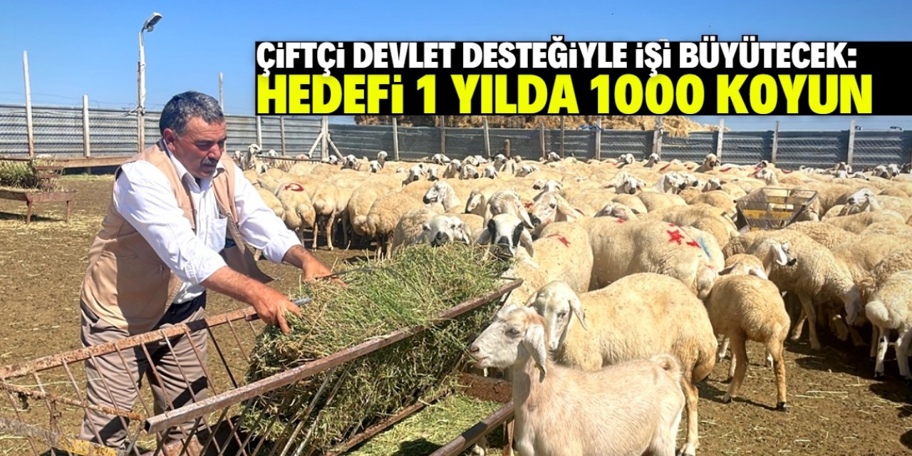 Devlet desteği sayesinde 1 yılda 1000 koyuna sahip olacak