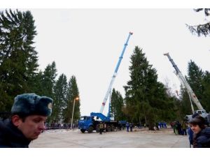Yılbaşı İçin Kremlin Sarayı’nda 30 Metrelik Çam Ağacı Dikilecek