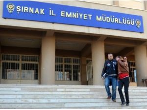 200 Polisle Fuhuş Operasyonu