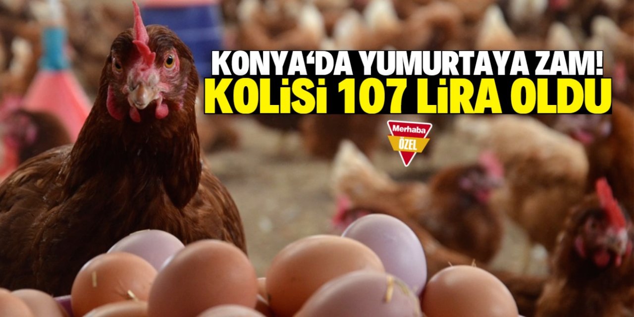 Konya'da tavuk çiftliklerini hastalık vurdu! Yumurtanın kolisi 107 lira oldu
