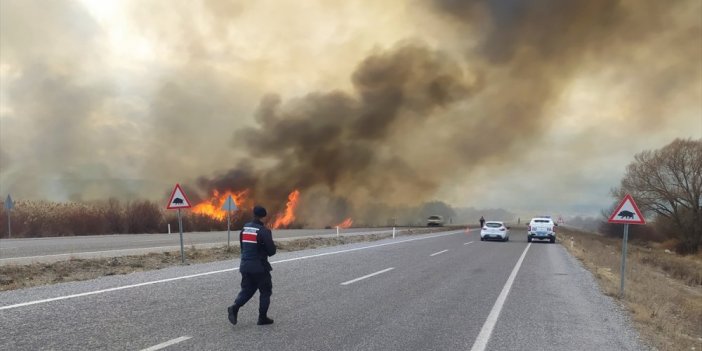 Beyşehir Gölü kıyısındaki sazlık alan yangında zarar gördü