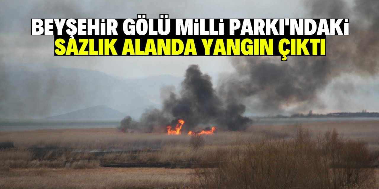 Beyşehir Gölü Milli Parkı'ndaki sazlık alanda yangın