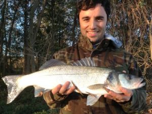 Sinop’ta Amatör Balıkçı Oltayla 20 Kiloluk Levrek Yakaladı