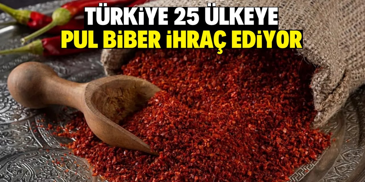 Türkiye 25 ülkeye pul biber ihraç ediyor
