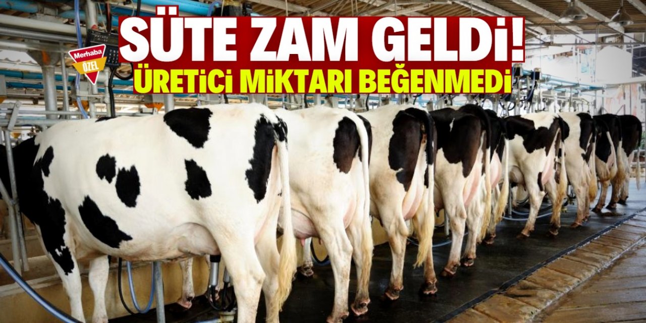 Konyalı süt üreticileri isyan etti: Bu zam kararını asla kabul etmiyoruz